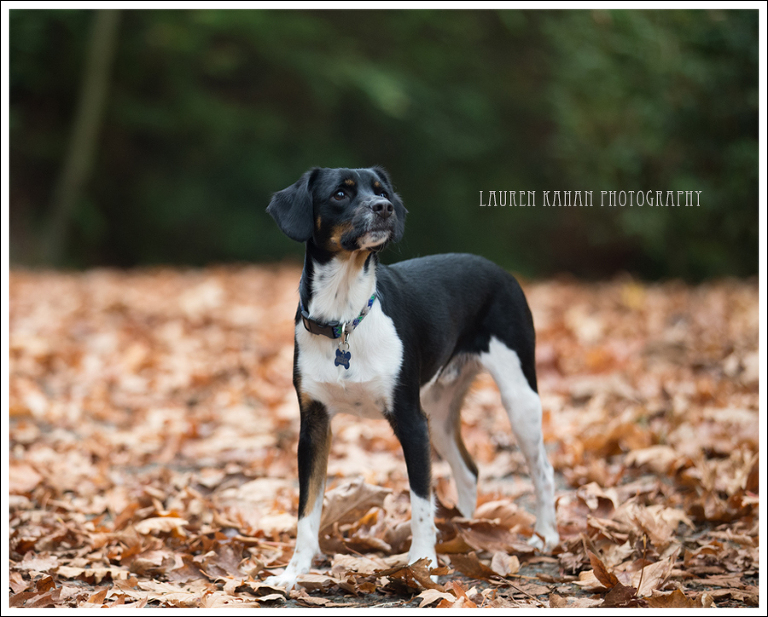 Blog West Seattle Photographer Atkinson-35