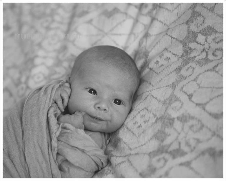 Blog West Seattle Newborn Photographer Greyson-2