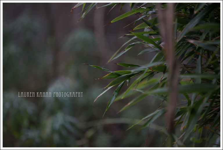 Blog Whitmire Family-10