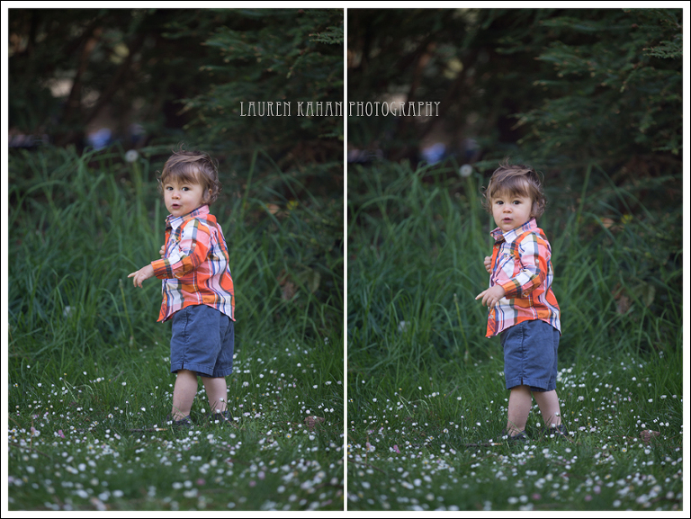 Blog West Seattle Family Photographer Bisanti 2-17