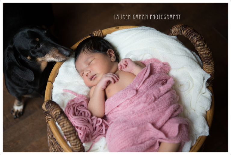 Blog West Seattle Newborn Lifestyle Photographer Naiya-10