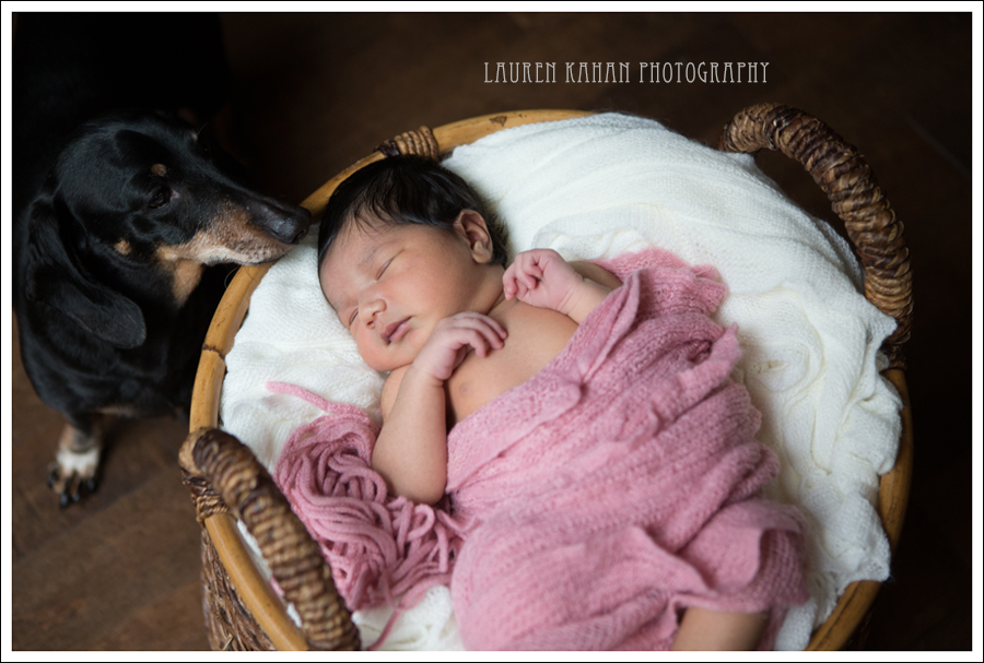 Blog West Seattle Newborn Lifestyle Photographer Naiya-10