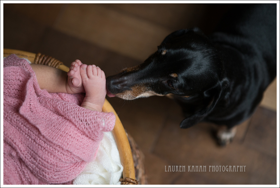 Blog West Seattle Newborn Lifestyle Photographer Naiya-11
