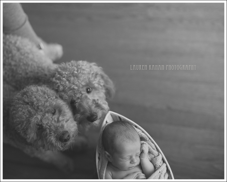 blog-west-seattle-newborn-photographer-jack-15