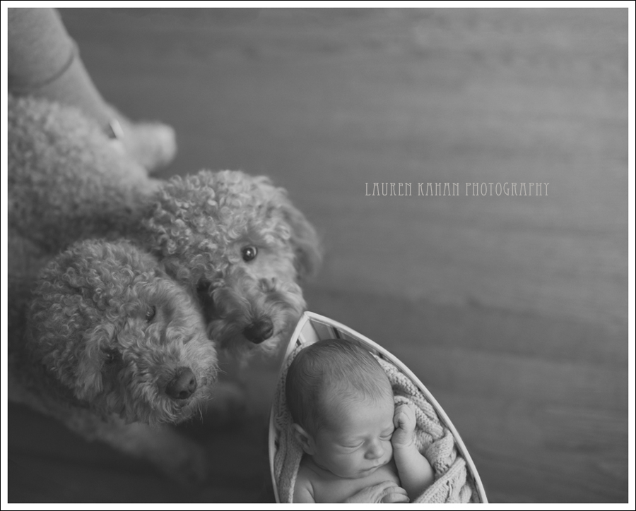 blog-west-seattle-newborn-photographer-jack-15